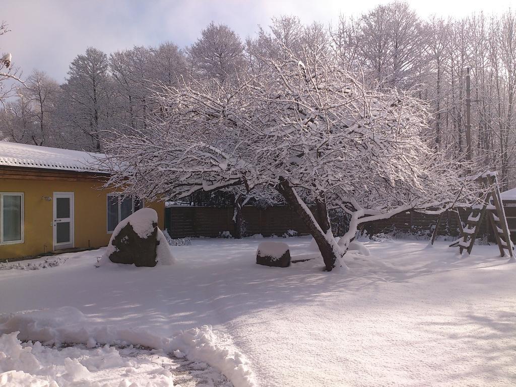 Ferienwohnungen Vidoni Bodensdorf Exterior photo